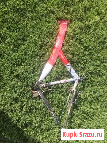 Рама от stels 550 Новоаннинский - изображение 1