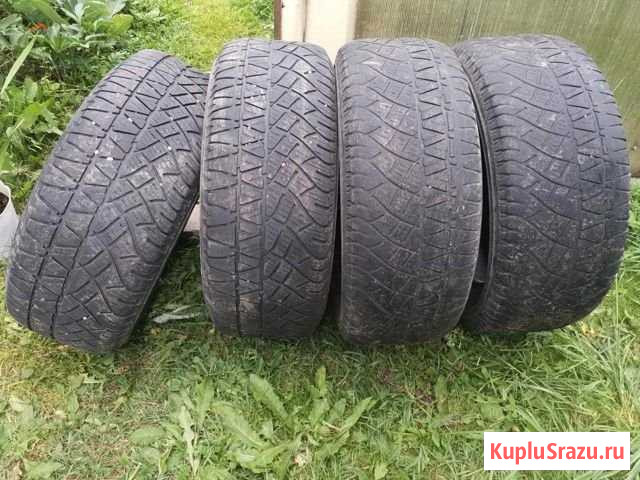 Продам летние шины Оса - изображение 1