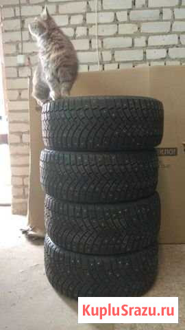 245/45R17 Michelin X-Ice North Дубовое - изображение 1
