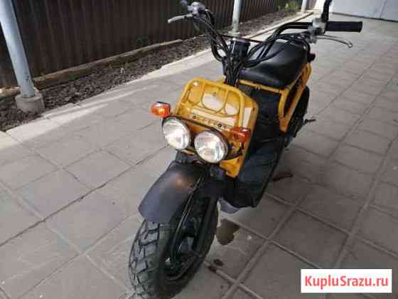 Honda zoomer Динская