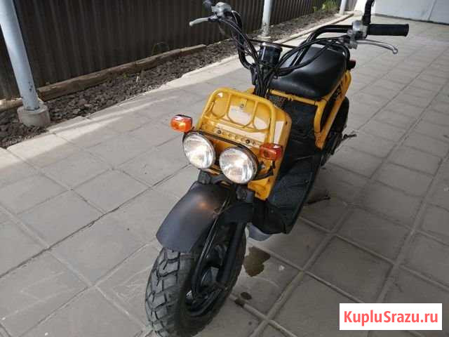 Honda zoomer Динская - изображение 1