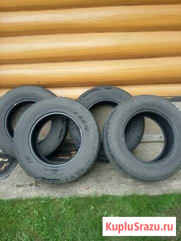 Шины Руза - изображение 1