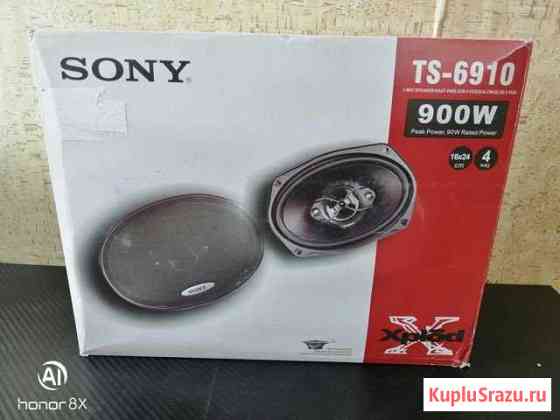 Автомобильная акустика sony TS6910 (24х16 см) Калач