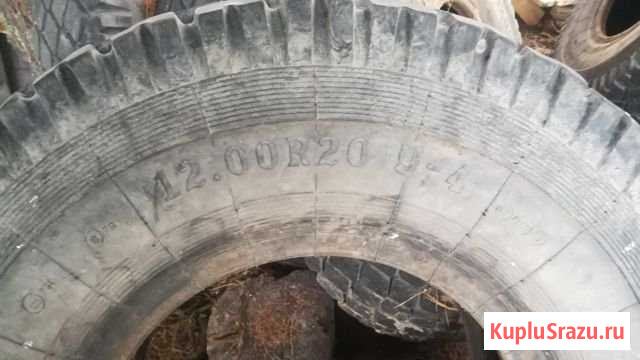 Шины ЗИЛ, маз Тайга - изображение 1