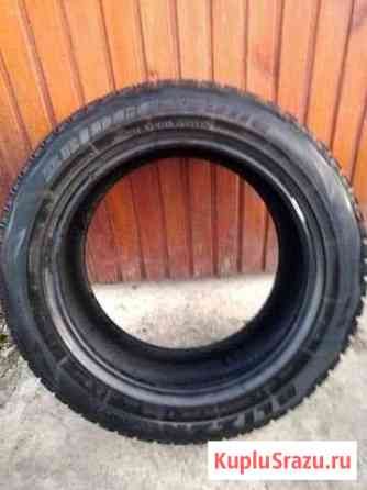 Бриджстоун Близак (DM-V1) 225/55 R17 (Япония) Ейск