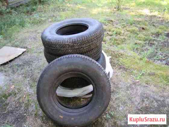 Комплект шин (5 шт) 175/80 R13 86(S) камерные Агалатово