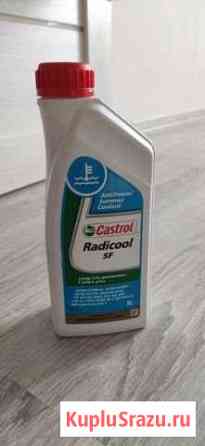 Антифриз концентрат castrol sf Губаха