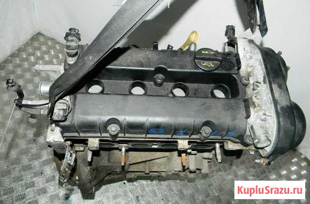 Двигатель бензиновый на Ford Focus 2 1,6 Ti-VCT Павловская - изображение 1