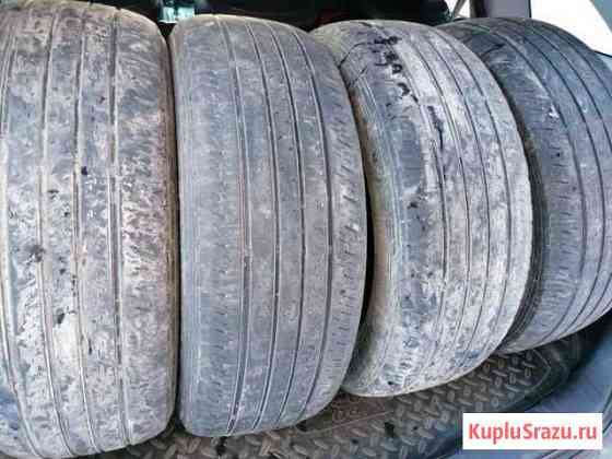 Шины 235/55 R 18 Лесной