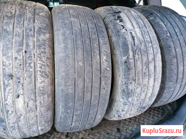 Шины 235/55 R 18 Лесной - изображение 1