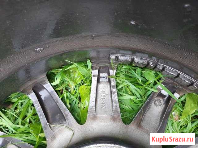 Продам диски Брянск - изображение 1