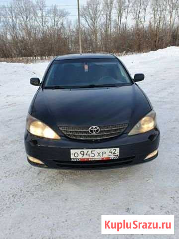 Продам новые оригинальные стойки toyota Прокопьевск - изображение 1