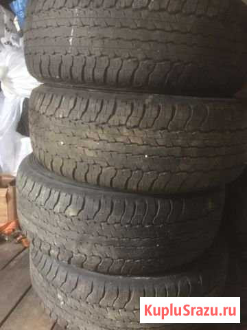 Dunlop Кудрово - изображение 1