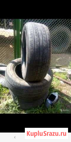 Шины ntares Петергоф - изображение 1