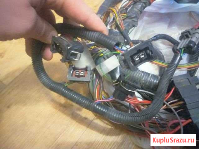 Эбу (мозги) Куровское - изображение 1