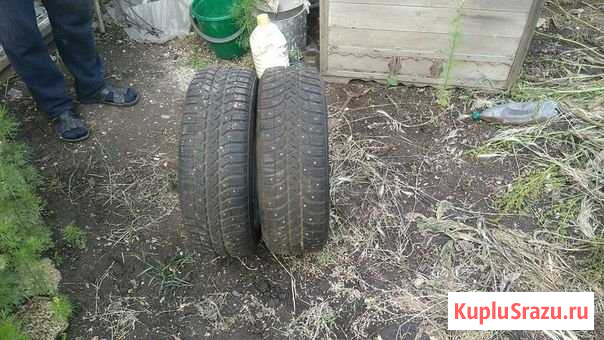 Продам шины Приморка - изображение 1