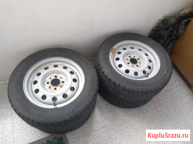 Колёса на ваз, R14, Dunlop, зимние Ростов-на-Дону - изображение 1