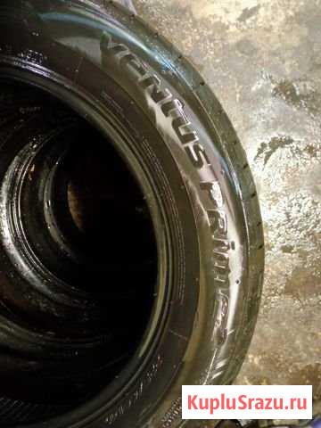 Шины Луга - изображение 1