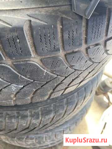 Липучка winter sport R15 Дзержинск - изображение 1