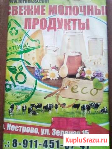 Свежие молочные продукты Приморск - изображение 1