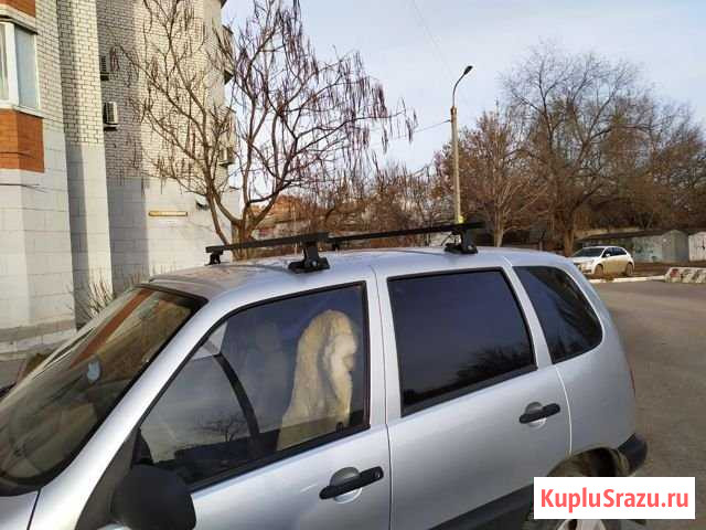 Багажник на крышу Шеви Нива Волгоград - изображение 1