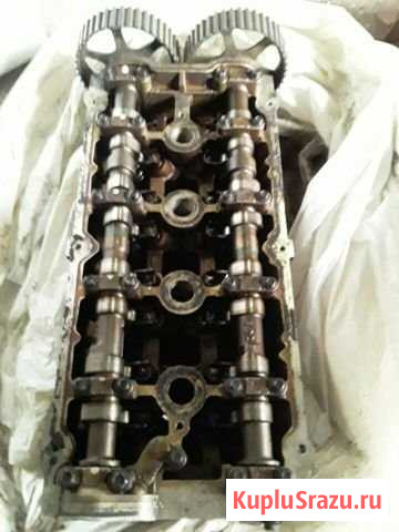 Гбц Выборг - изображение 1