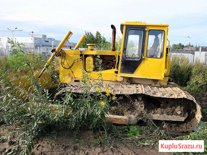 Бульдозер ЧТЗ Б10МБ, болотник, 2011 г Санкт-Петербург - изображение 4