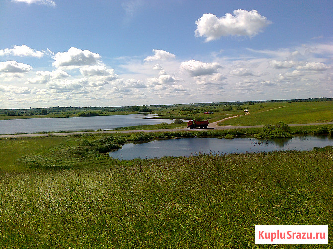 Участок СНТ, ДНП 1250 сот. на продажу в Великих Луках Великие Луки - изображение 3