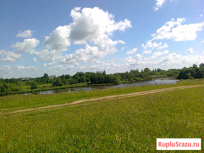 Участок СНТ, ДНП 1250 сот. на продажу в Великих Луках Великие Луки - изображение 5