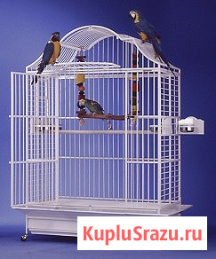 Клетки для попугаев - производство Австрия, Чехия Москва - изображение 2