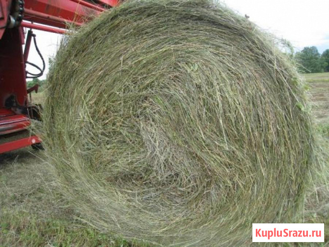 Хорошее сено в рулонах луговое пойменное Чебоксары - изображение 1