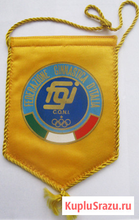 Федерация гимнастики Италии Москва - изображение 1