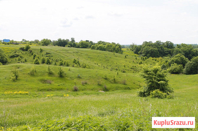 Дом 36.7 м² на участке 22 сот. на продажу в Чаплыгине Чаплыгин - изображение 5