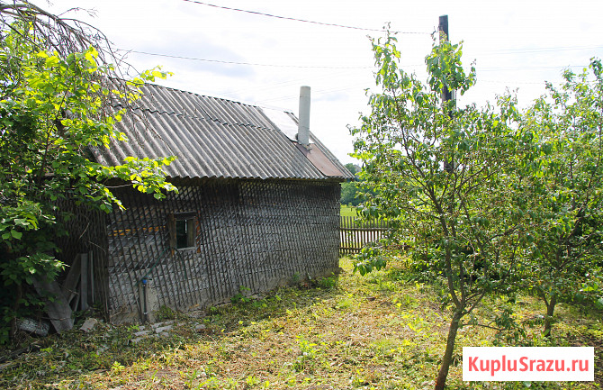 Дом 36.7 м² на участке 22 сот. на продажу в Чаплыгине Чаплыгин - изображение 3