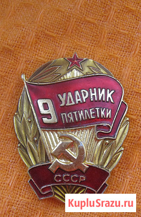Значки по теме награды за труд Голубицкая - изображение 2