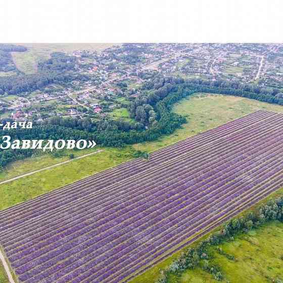 Участок СНТ, ДНП 4300 сот. на продажу в Краснодаре Краснодар
