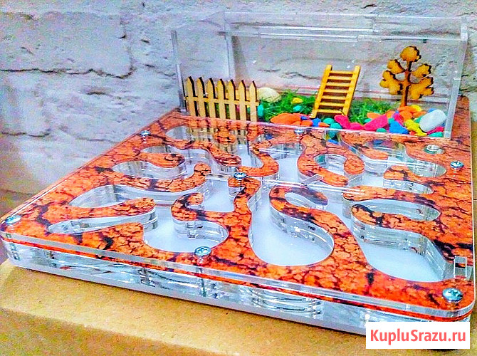 Формикарий на 2500 муравьёв Брянск - изображение 1