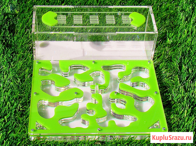 Формикарий на 2500 муравьёв Брянск - изображение 2