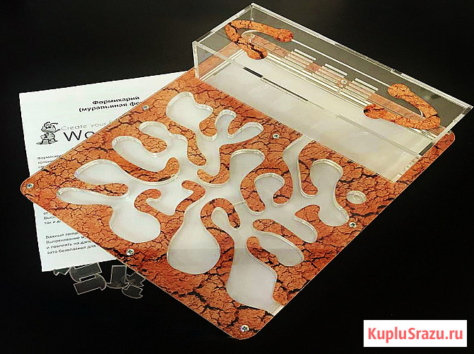 Формикарий на 2500 муравьёв Брянск - изображение 3