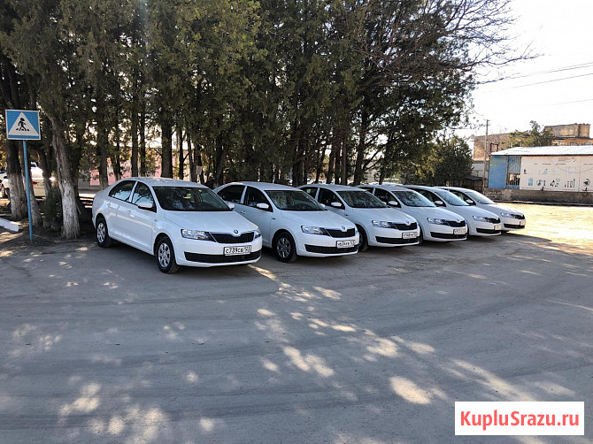 Шкода рапид мкпп/акпп. 2020-21 г. в аренду Сочи - изображение 2