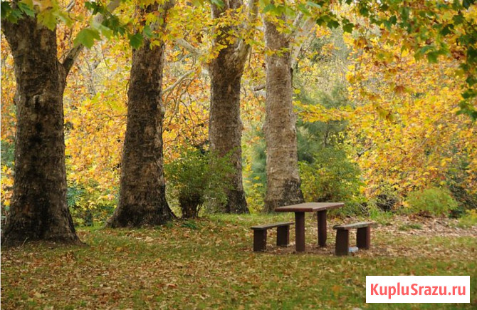 Участок СНТ, ДНП 1400000 сот. на продажу в Краснодаре Краснодар - изображение 5