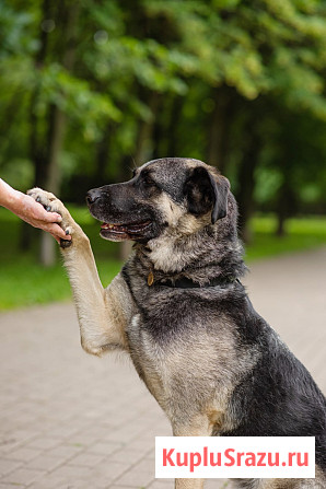 Мирон ищет дом Москва - изображение 4