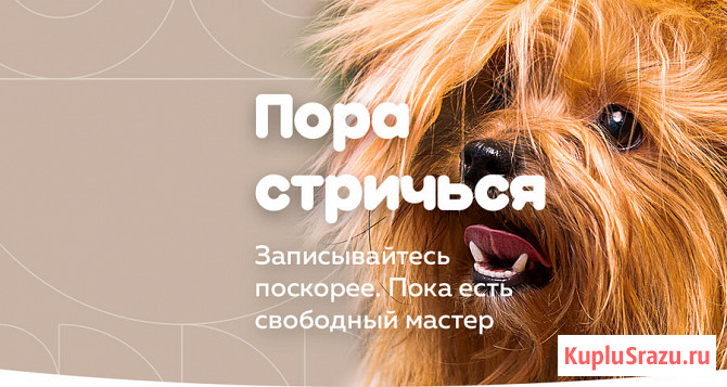 Инновационное стройство по уходу за домашними питомцами Москва - изображение 4