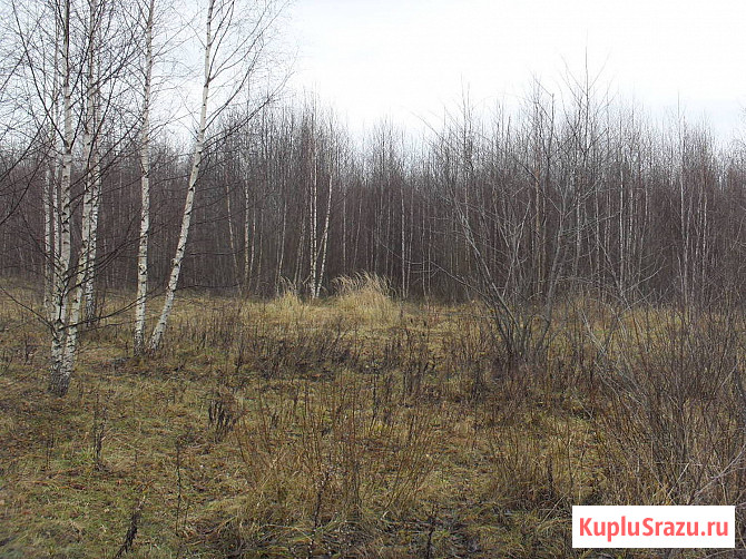 Участок СНТ, ДНП 254.51 сот. на продажу в Калязине Калязин - изображение 3