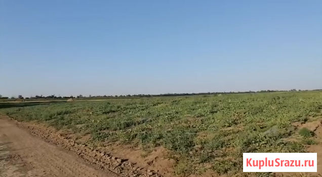 Земельный участок сельхозназначения 45 гектар Краснодар - изображение 1