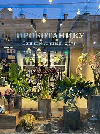 Цветочное пространство ПРОботанику. Ваш цветочный друг Кострома