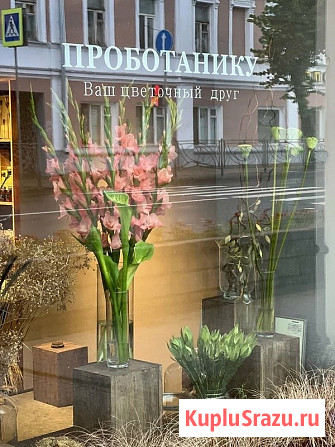 Цветочное пространство ПРОботанику. Ваш цветочный друг Кострома - изображение 4