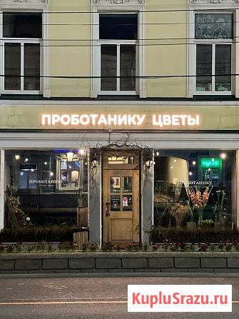 Цветочное пространство ПРОботанику. Ваш цветочный друг Кострома - изображение 1