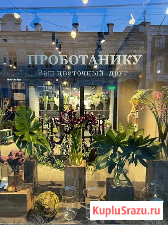Цветочное пространство ПРОботанику. Ваш цветочный друг Кострома - изображение 3