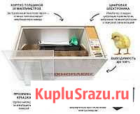 Инкубатор Ангарск - изображение 1